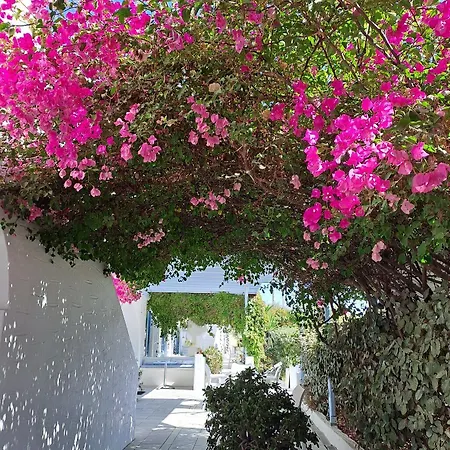 Aparthotel Stratos &