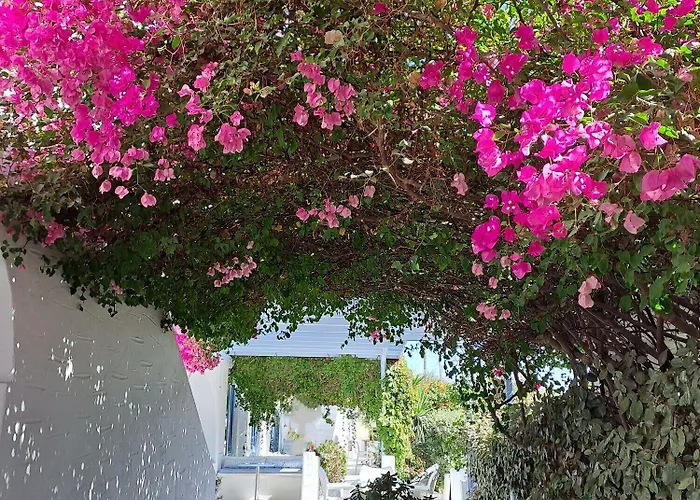 Aparthotel Stratos &